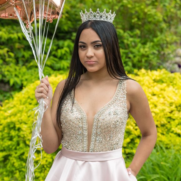 JOVANI  Blush Embellished Bodice A-Line Prom Gown - Picture 8 of 11